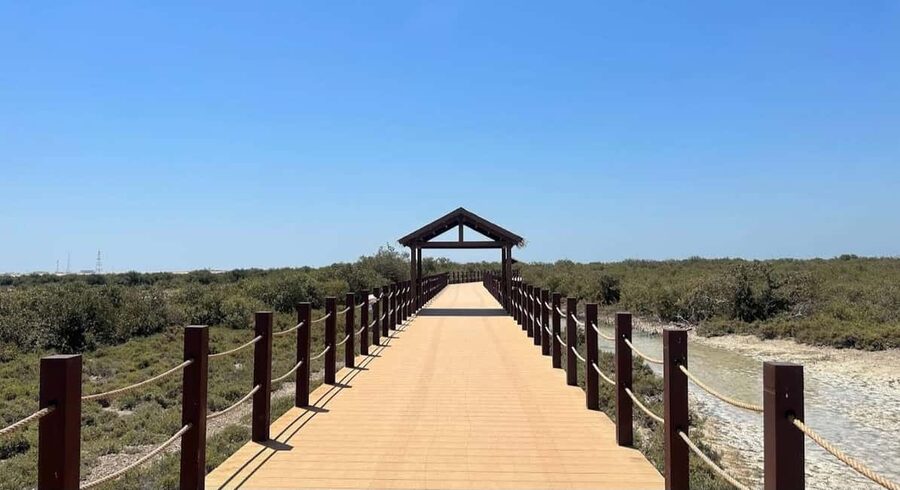 Doha: Al Zubara Fort, Al Jumail & Al Thakira Tour - Why this northern route is worth your morning