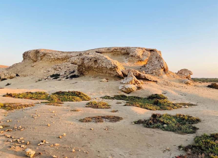 Doha: Al Zubara Fort, Al Jumail & Al Thakira Tour - What guides add to the experience