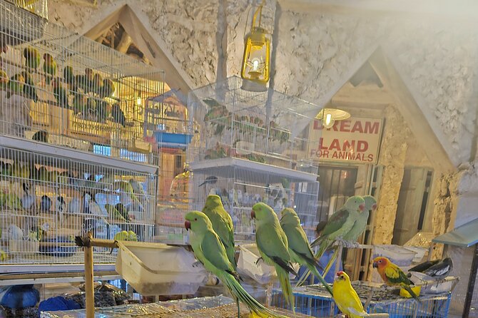 Doha All Inclusive Night City Tour with Traditional Dhow Boat - Lusail and the I Love Lusail statue