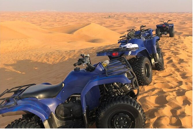 Doha All Inclusive Self Ride of Quad,ATV's or Buggy & Camel Ride - What the camel ride adds