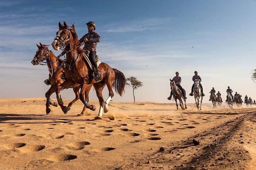 Doha : Arabian Horse Ride Experience With Pickup & Drop Off - Key points to know before you book