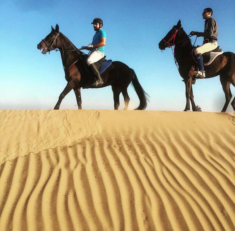 Doha : Arabian Horse Ride Experience With Pickup & Drop Off - Leaving Doha for the Al Wakrah desert