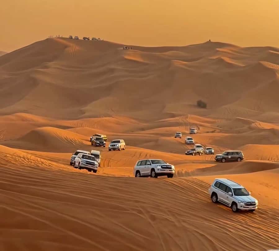 Doha : Arabian Horse Ride Experience With Pickup & Drop Off - Wildlife and the quiet details