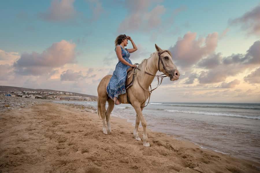 Doha : Arabian Horse Ride Experience With Transfer - Riding Into Qatar’s Desert Near Sealine