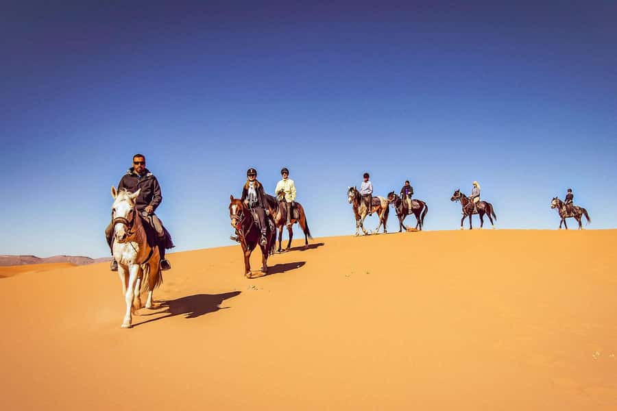 Doha : Arabian Horse Ride Experience With Transfer - The 45-Minute Drive From Doha