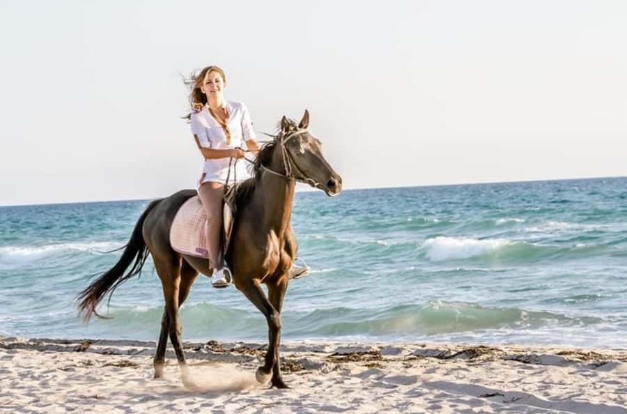 Doha : Arabian Horse Ride Experience With Transfer - One Hour of Horseback Riding at Sealine