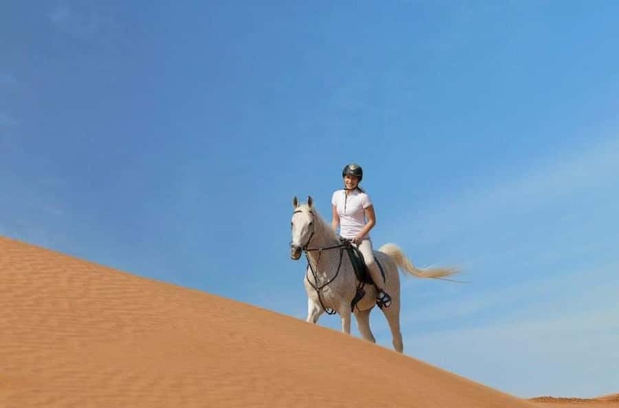 Doha : Arabian Horse Ride Experience With Transfer - Cancellation and Booking Flexibility