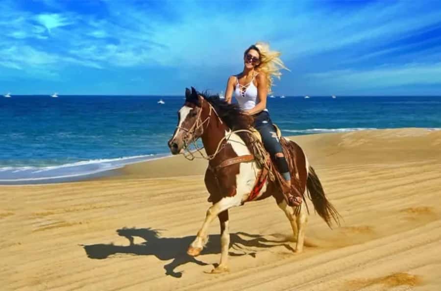 Doha : Arabian Horse Ride Experience With Transfer - Meeting Your Horse at the Equestrian Center