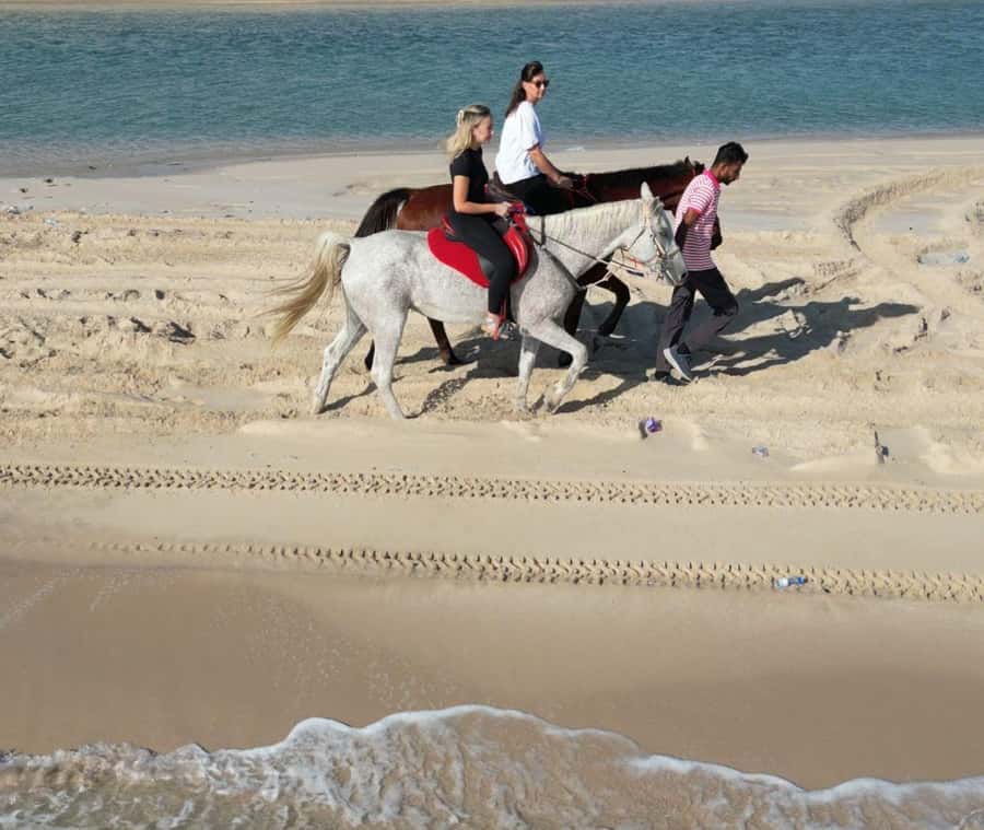 Doha: Arabian Horse Riding Experience –Sea or Desert Options - The 60-minute desert ride