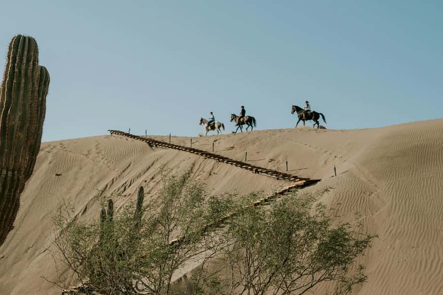 Doha: Arabian Horse Riding Experience –Sea or Desert Options - What the $123 price includes