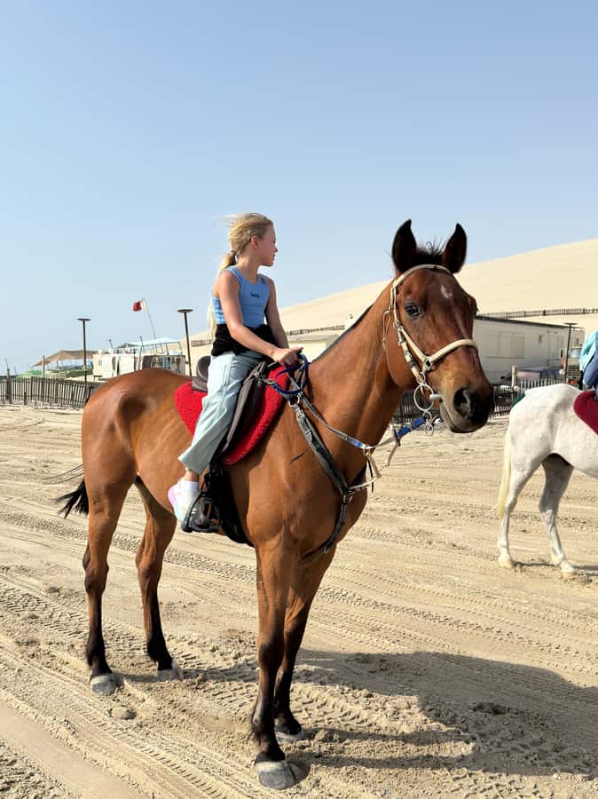 Doha: Arabian Horse Riding Experience –Sea or Desert Options - Practical advice for a smoother ride