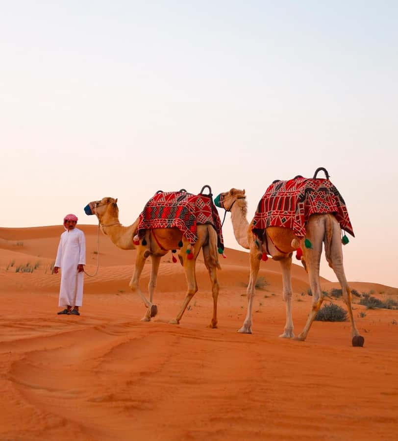 Doha: ATV/Desert Safari with Activities and Inland Sea Stop - Finding the Inland Sea