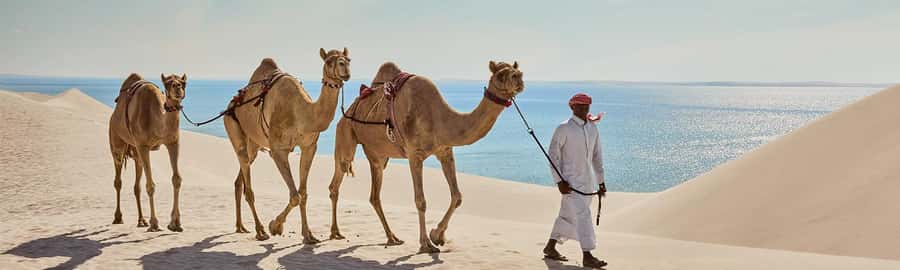 Doha: ATV/Quad, Safari 4x4, Camels, Sandboarding& Inland Sea - Reaching the Inland Sea