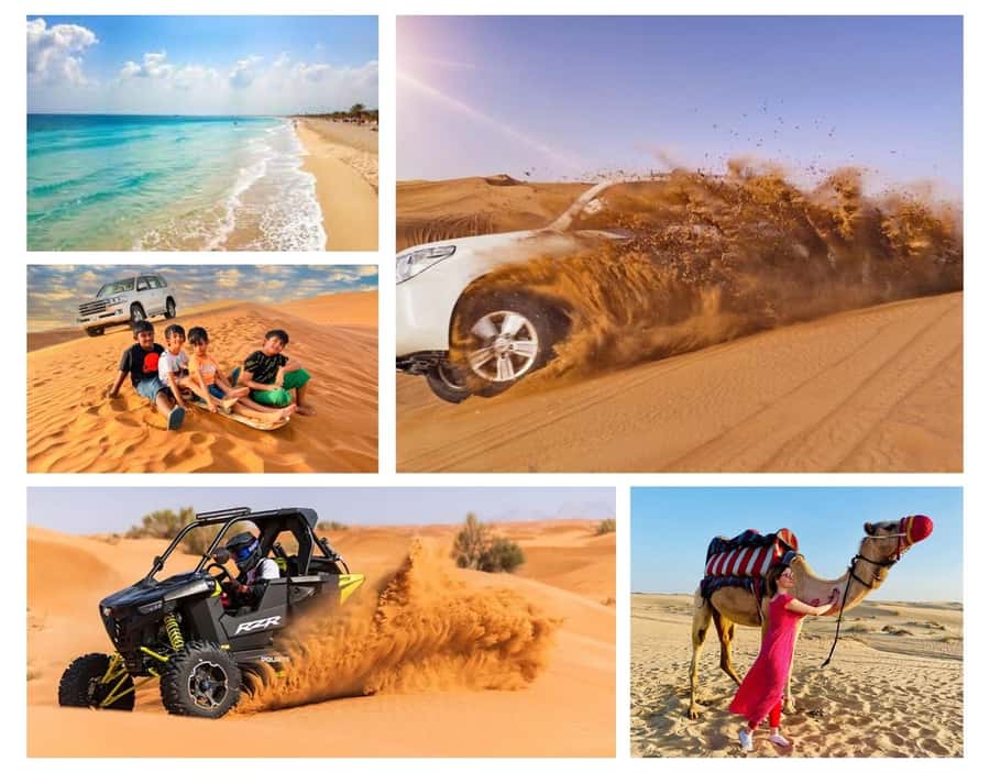 Doha: Budget Friendly Desert Safari,CamelRide & Sandboarding - Camel riding and a taste of desert tradition
