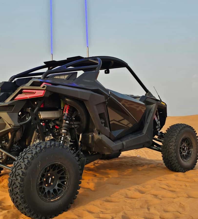 Doha: Buggy Adventure and desert safari - Camel riding for a slower view of Qatar