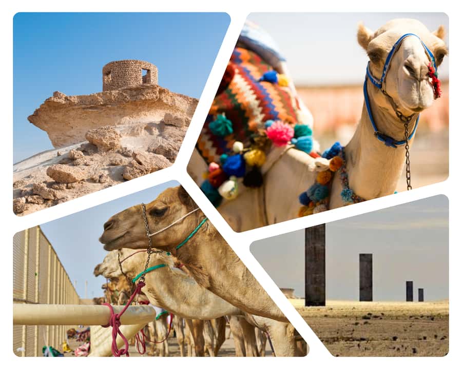 Doha Camel Race Track & Richard Serra Desert Sculpture Tour - Al-Shahaniya Camel Racing Track