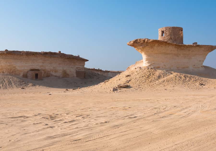 Doha Camel Race Track & Richard Serra Desert Sculpture Tour - Guides make the difference