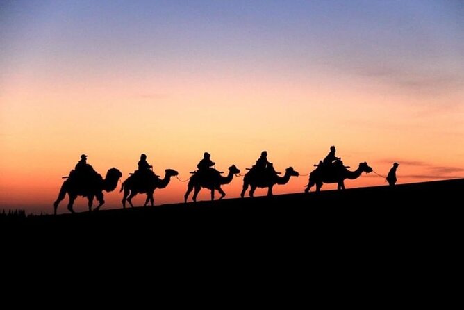 Doha City and Desert Safari Tours (Combo Tour) - The Corniche and Doha Bay