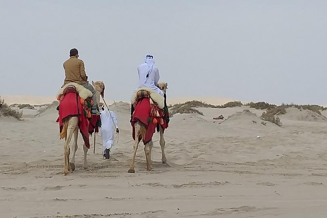 Doha Combo City And Half Day Desert Safari Tour No Hidden cost - Why this Doha combo works so well