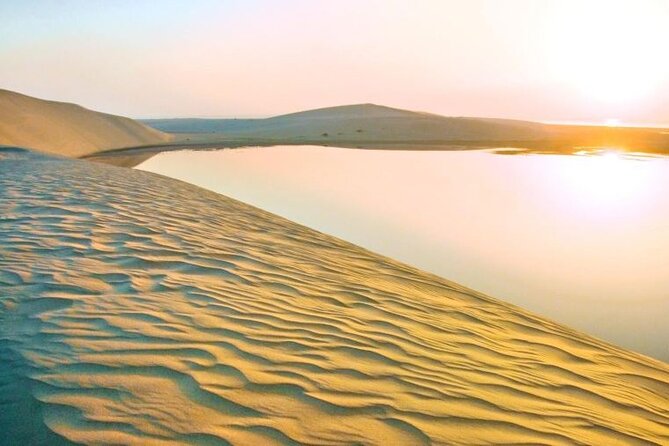 Doha: Combo City Tour And Desert Safari - Sealine Beach begins the desert half