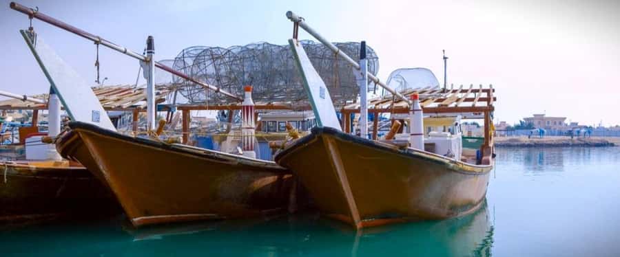 Doha: Combo Heritage & Art Tour of North and West Qatar - Al Ruwais, Where the Tour Meets Qatar’s Northern Coast