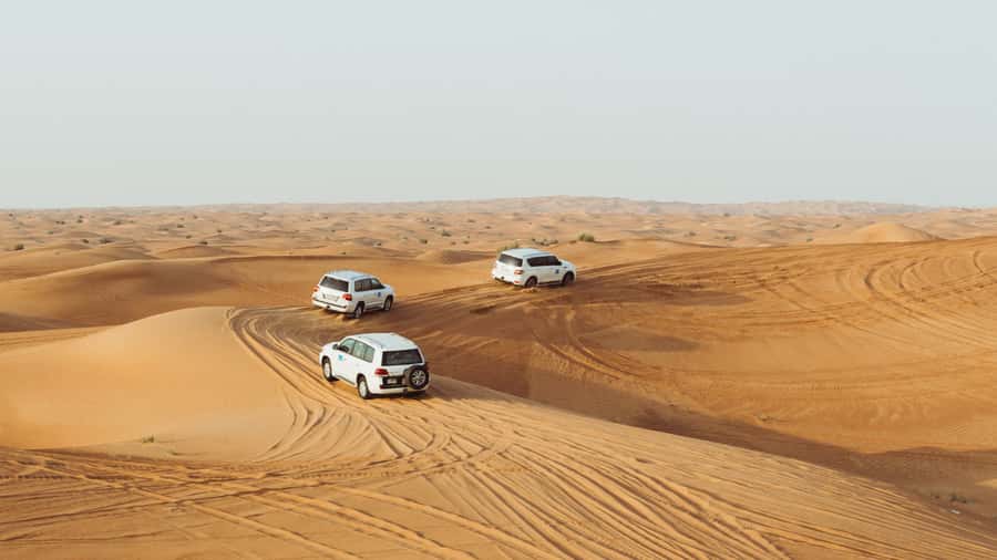 Doha: Combo Private Tour of Desert Safari with ATV Ride - Is $100 per person good value?