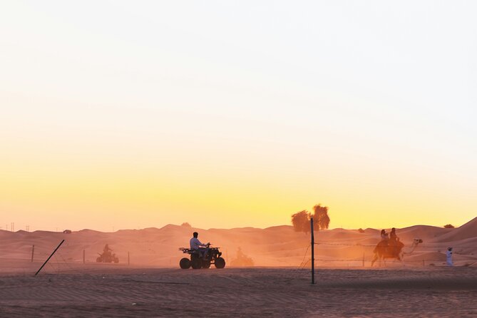 Doha Delights City Tour with Desert Safari and Inland Sea Visit - One hour at Souq Waqif