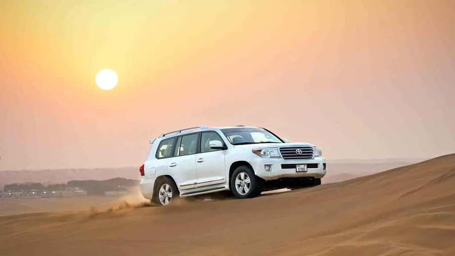Doha: Desert 4x4, ATV/Quad, Camels, Sandboarding, Inland sea - Dune bashing ranges from smooth to wild