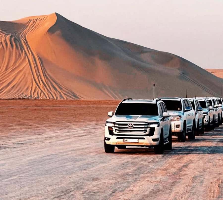 Doha: Desert Buggy Ride, Camel Ride, Dune Bashing, Sandboard - Who gets the best value from this tour