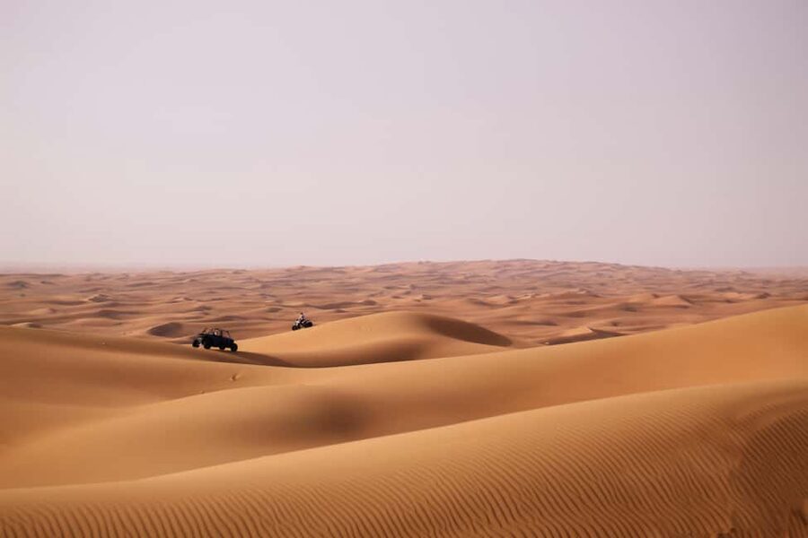 Doha Desert Excursion, Camel Ride, Inland sea, Sandboarding - What the $27 price really includes