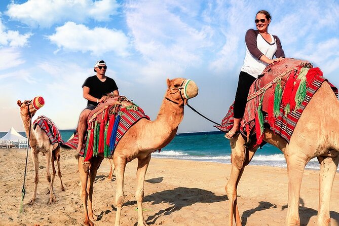 Doha Desert Safari Camel Ride, Sandboarding and Inland Sea - A camel ride with a cultural purpose