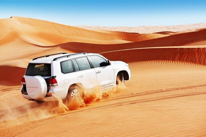 Doha Desert Safari Camel Ride, Sandboarding and Inland Sea - What the guide adds to the day