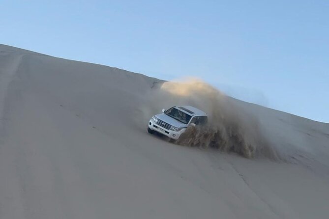 Doha Desert Safari Dune Bashing Camel Ride - Sandboarding for a simple, sandy challenge
