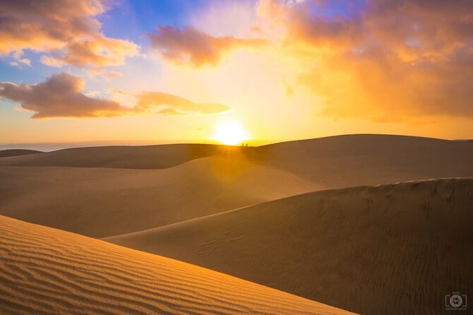 Doha Desert Safari Dune Bashing Camel Ride Sandboarding - Mesaieed: the gateway to Qatar’s southern dunes