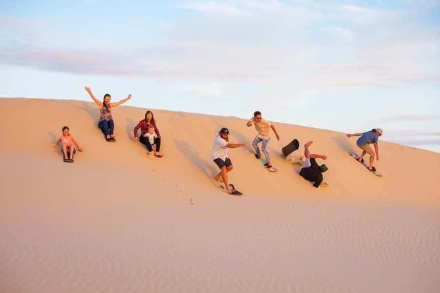 Doha: Desert Safari Dune Bashing, Sandboarding, & Camel Ride - Key points before you book