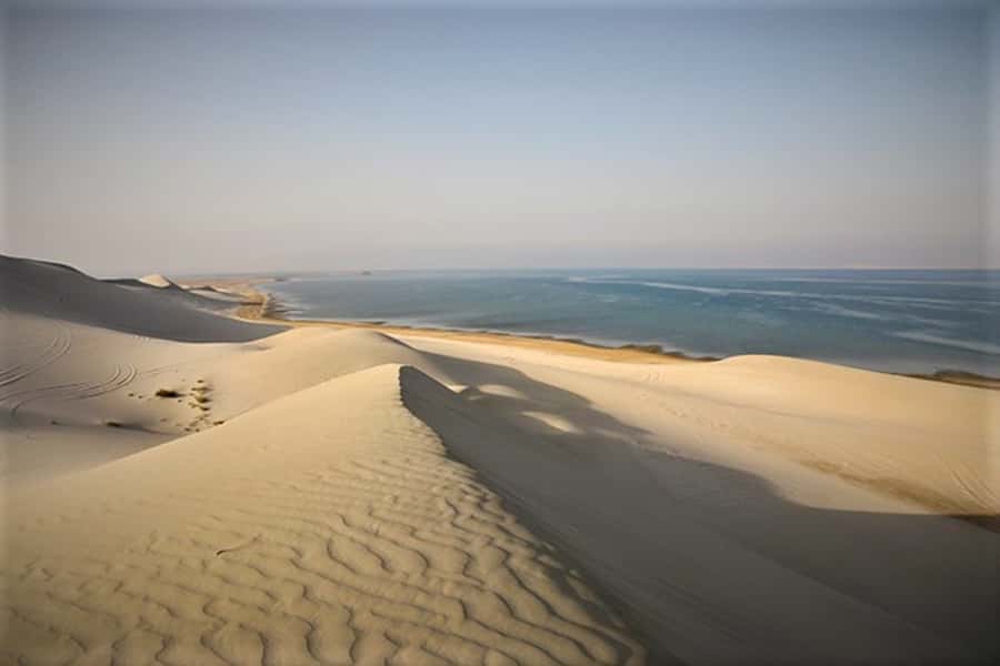 Doha: Desert Safari Dune Bashing, Sandboarding, & Camel Ride - Tips for getting more from the four hours