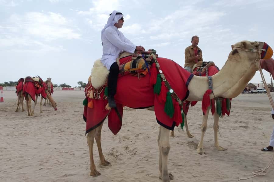 Doha: Desert Safari Dune Bashing, Sandboarding, & Camel Ride - Should you book this Qatar desert safari?
