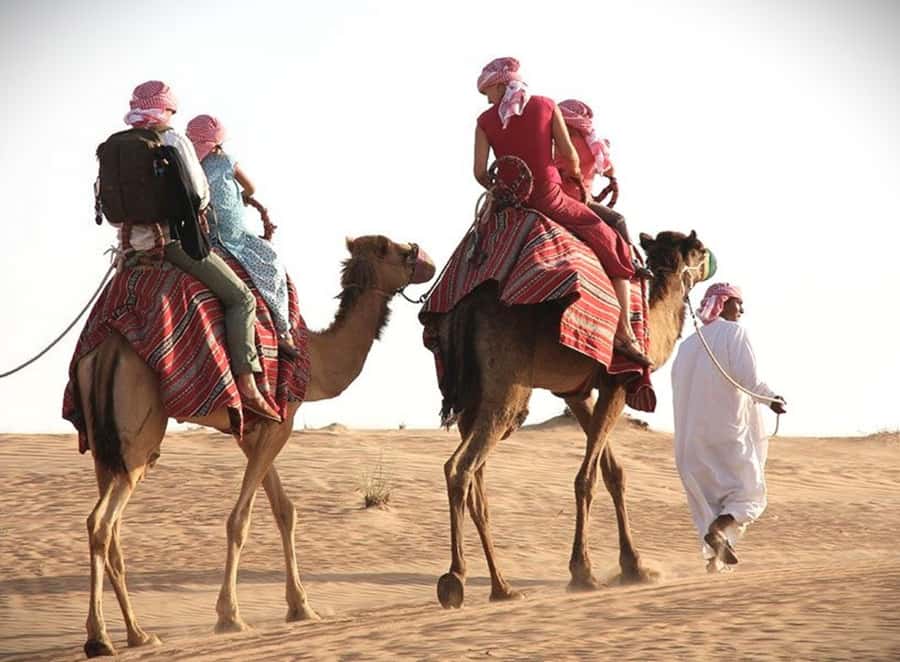 Doha: Desert Safari, Dune Bashing, Sandboarding, Camel Ride - The camel and falcon stop comes first