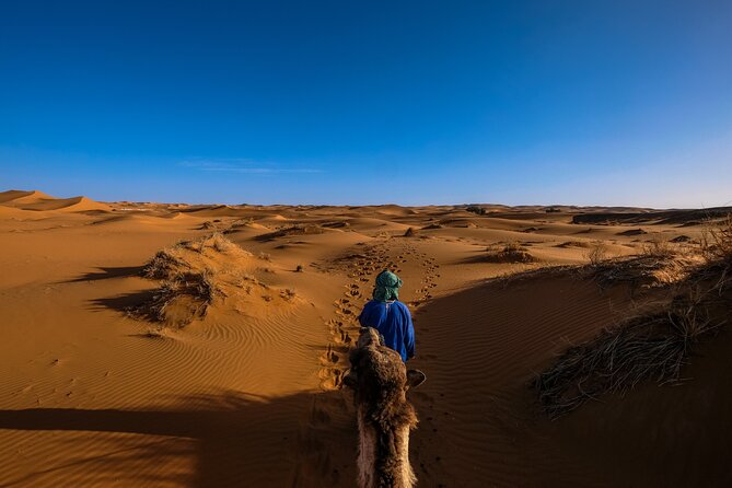 Doha Desert Safari Dune bashing,Sandboarding,CamelRide,Inland Sea - Toward the Inland Sea near Saudi Arabia