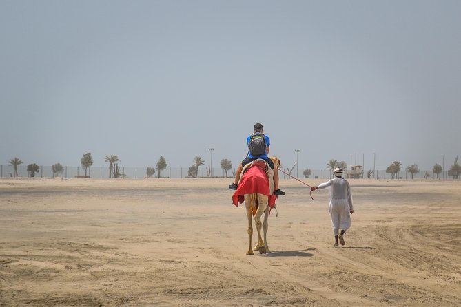 Doha Desert Safari: Dunebashing, Camel, Sandboarding & Inland Sea - Why This Doha Desert Trip Works Well