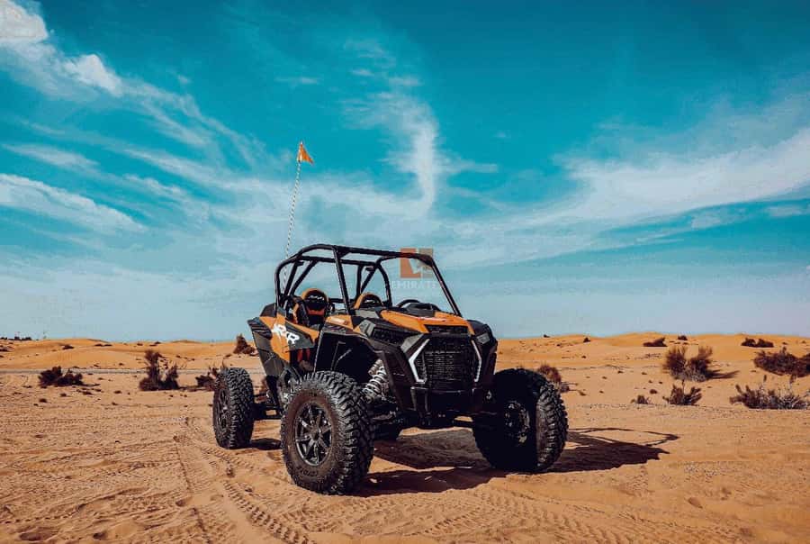Doha: Desert Safari Experience – Quad Bike, Buggy/Camel Ride - The Optional 250cc Quad Bike Ride