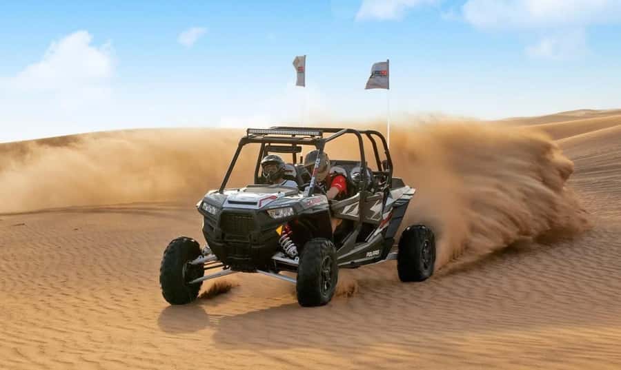Doha: Desert Safari Experience – Quad Bike, Buggy/Camel Ride - Khor Al Adaid, Where Sand Meets Salt Water