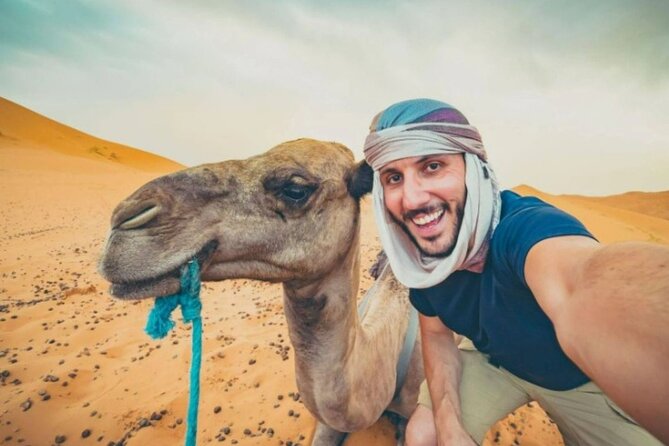 Doha Desert Safari Horse Riding, Camel Ride, ATVs & Inland Sea - Why this four-hour desert safari works well
