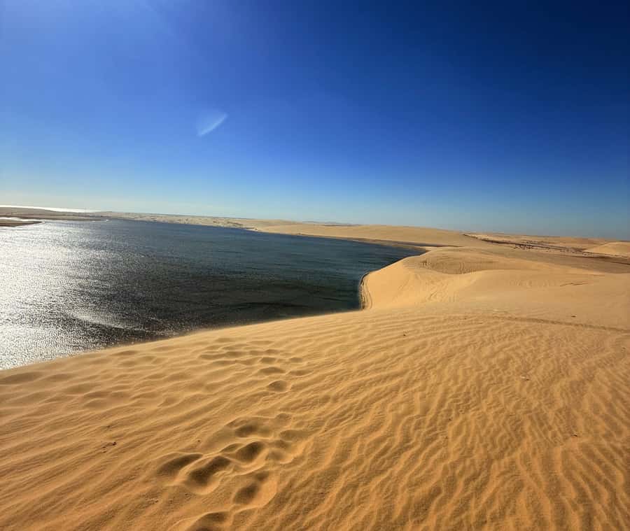 Doha: Desert Safari, Quad Bike, Camel Ride & Inland Sea - From Doha to the first stretch of sand