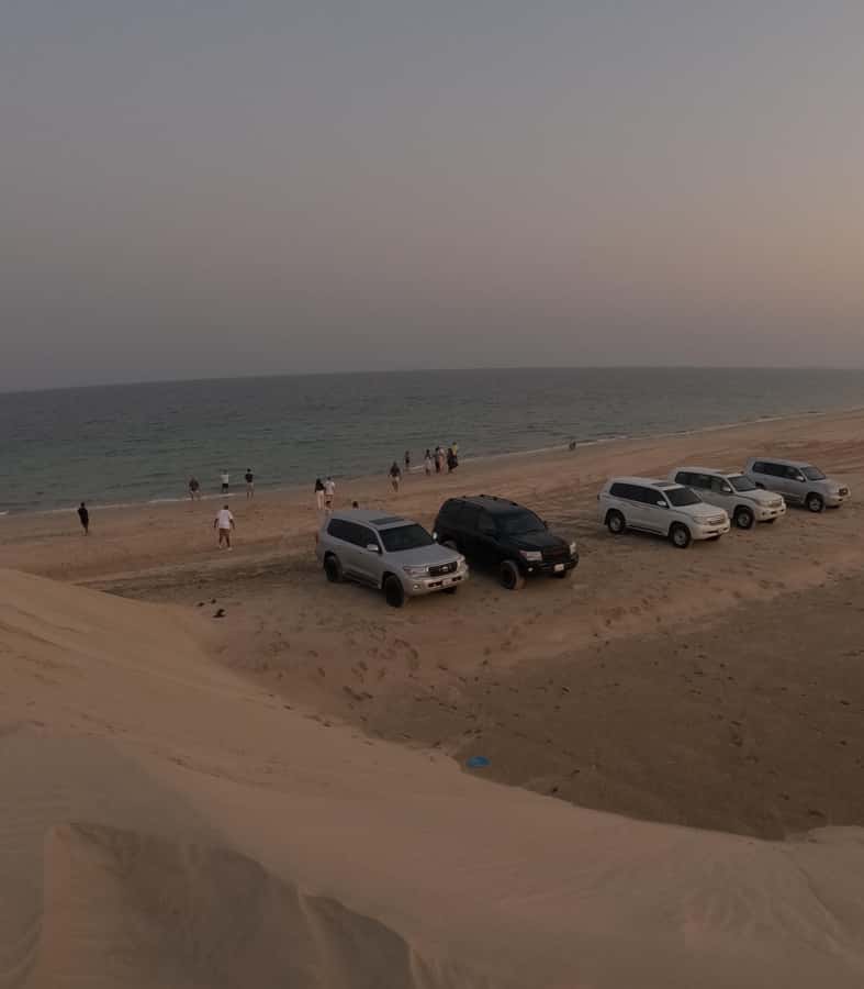 Doha: Desert Safari, Quad Bike, Camel Ride & Inland Sea - Who will enjoy this desert outing