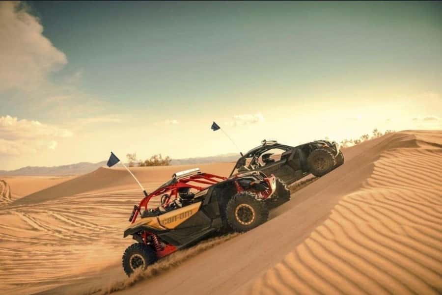 Doha: Desert Safari, Quad Bike, Camel Ride & Inland Sea Tour - Sandboarding down the dunes