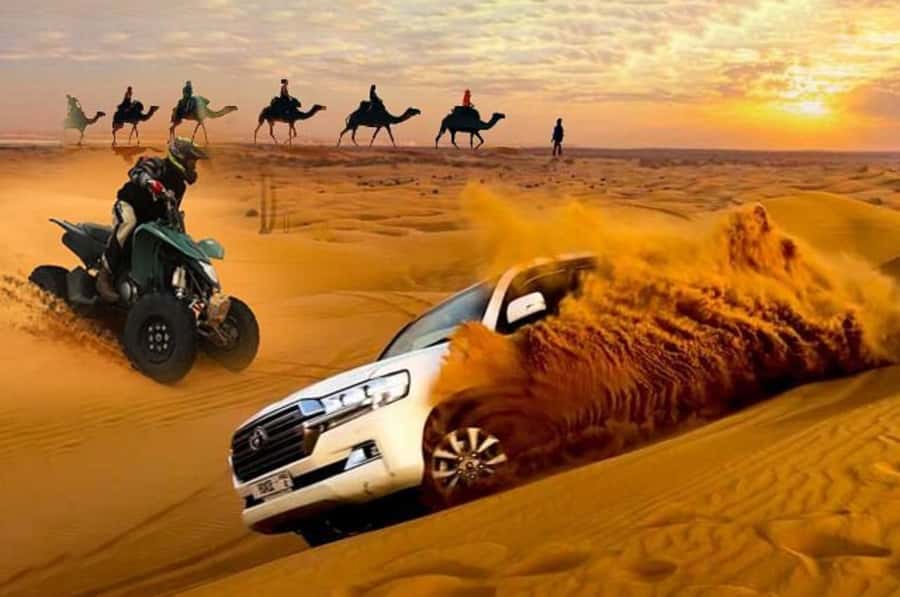 Doha: Desert Safari, Quad Biking, Sand Boarding & Camel Ride - Key points to know before you book