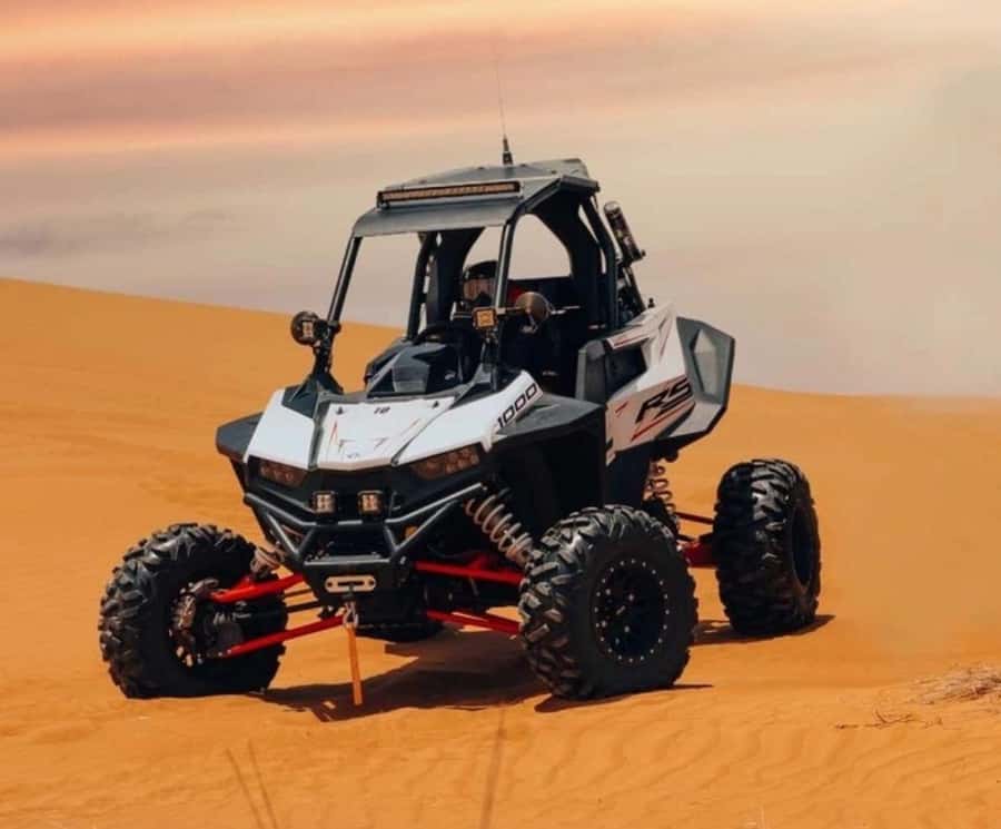 Doha: Desert Safari, Quad Biking, Sand Boarding & Camel Ride - Who will enjoy this safari most?