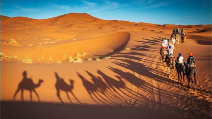 Doha: Desert Safari, Sandboarding, Camel Ride and Inland Sea - What is included, and what is not