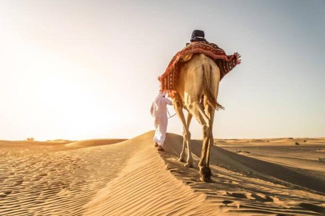 "Doha Desert : Safari, Sandboarding, Camel Ride & Inland Sea" - Photo stops across the dunes